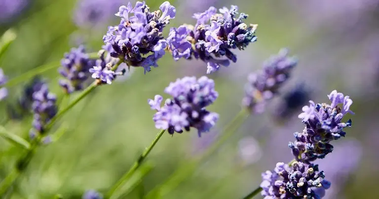 Warm, calming image representing therapy and counselling services in West London