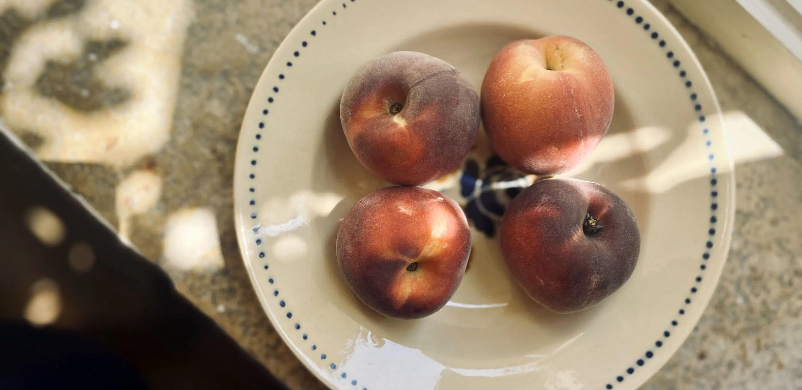 Couples therapy session concept with warm and supportive environment, West London W10 or online